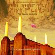 Pink Floyd For Chamber Orchestra:Pigs Might Fly