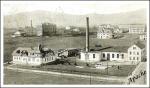 Dobová pohlednice - nedatováno. Pohled na část Nového Boru s městskou parní elektrárnou v popředí.